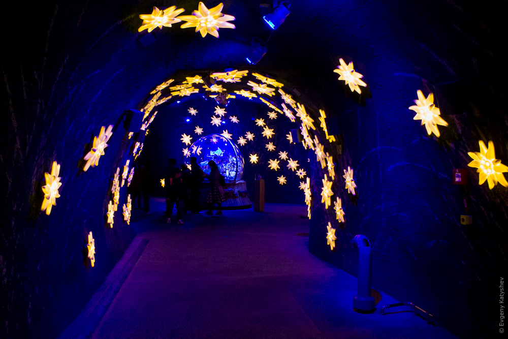 звёздно-эдельвейсный тоннель